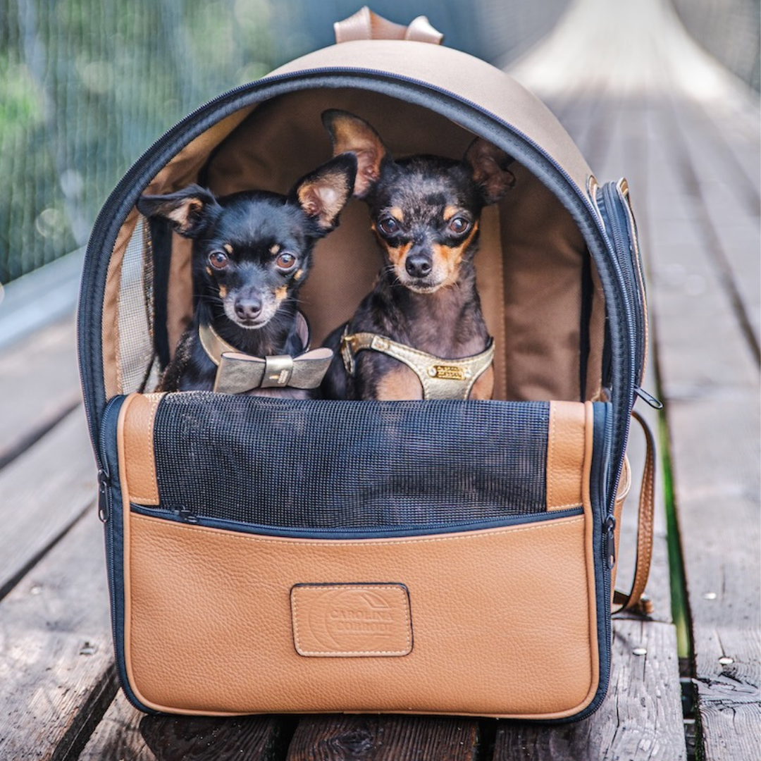 Hunderucksack clutchy Clearance